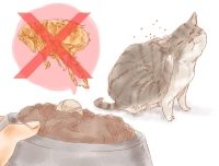 Как избавить кошку от блох