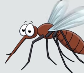 Как избежать укуса насекомого